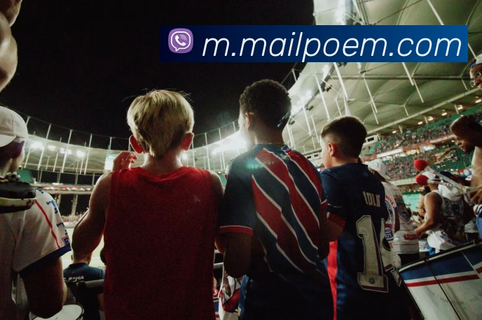 奖项证书